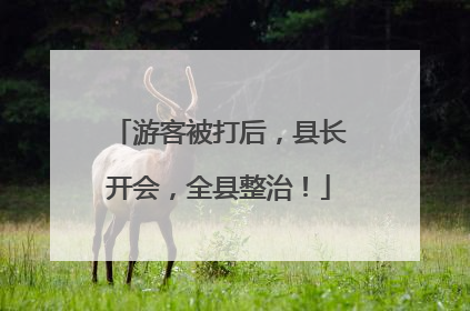 游客被打后，县长开会，全县整治！